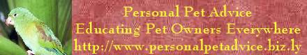 Site designed to educate pet owners, Kid safe!